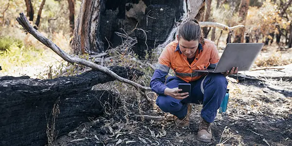Fire Science — image 1