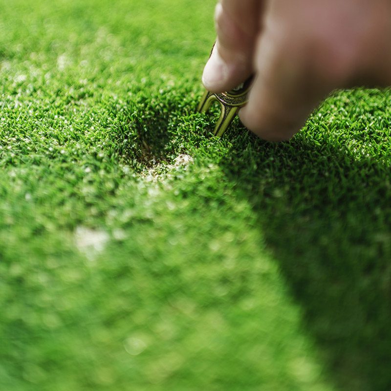 Turfgrass Management, AS