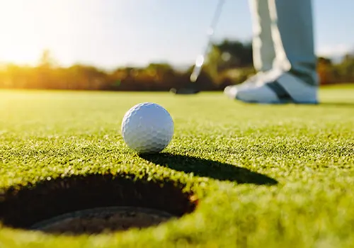 Turfgrass Management — image 1