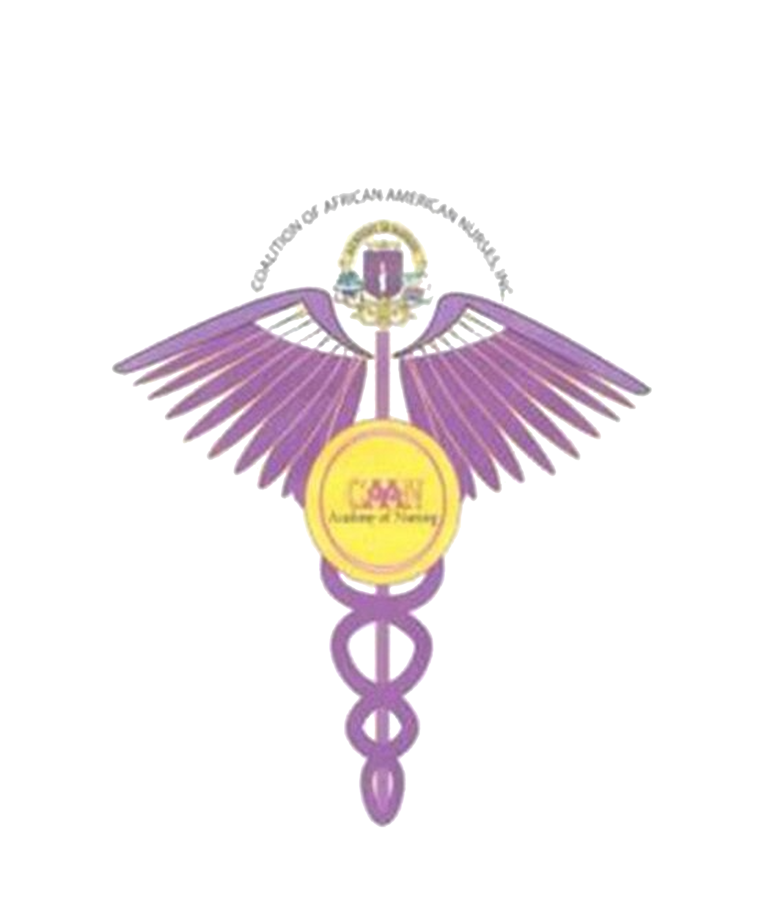 CAAN Academy of Nursing