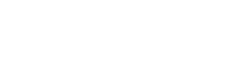 Stacey James Institute